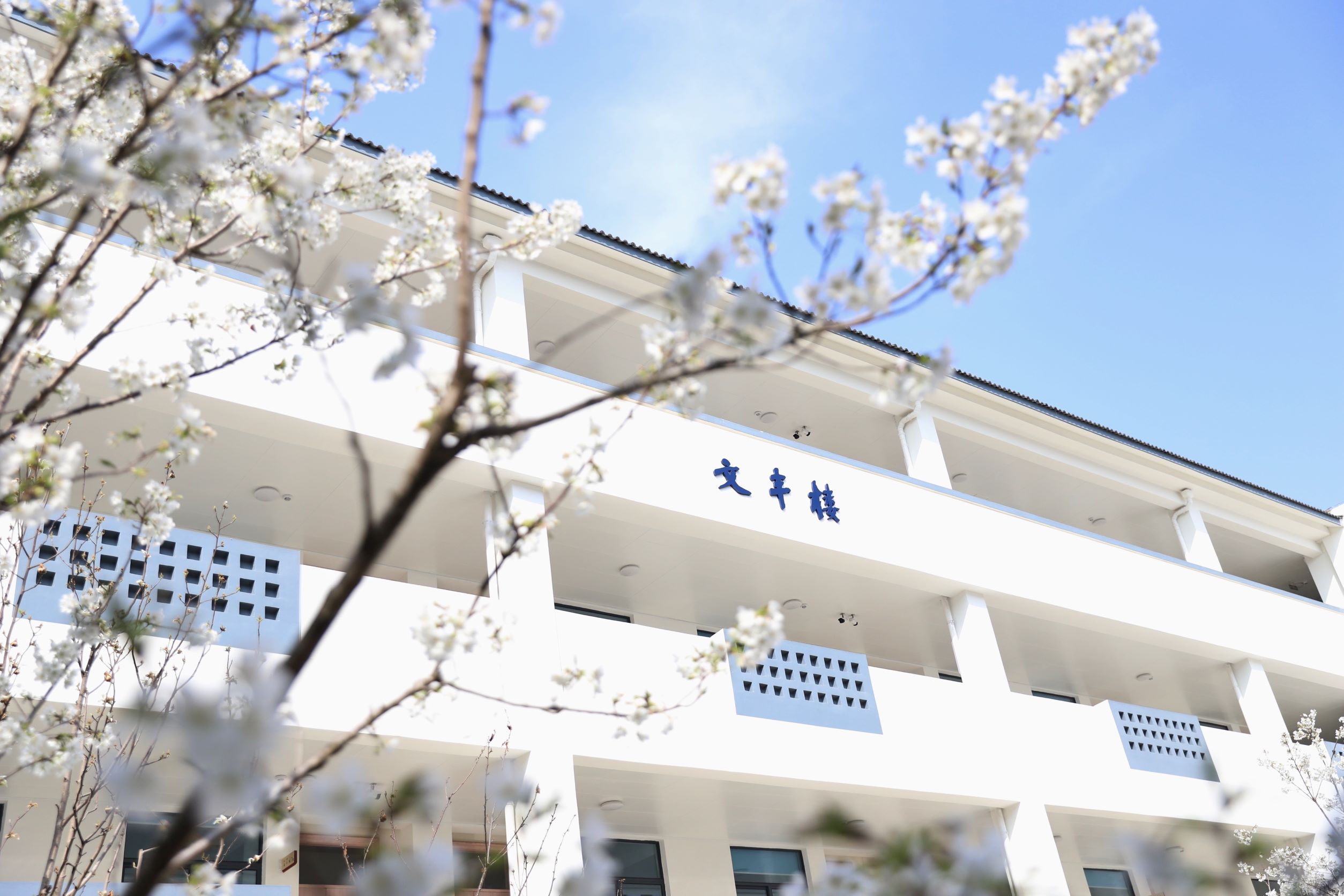 首页大图-03